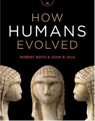 cover image of How Humans Evolved