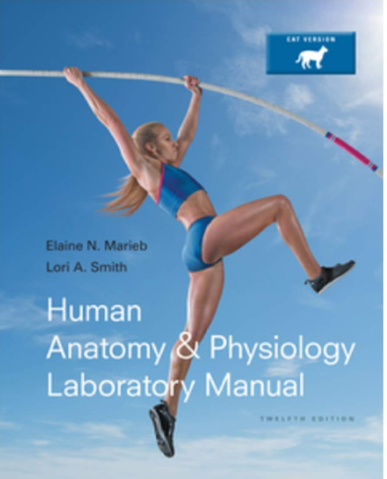 cover image of Human Anatomy & Physiology Laboratory Manual