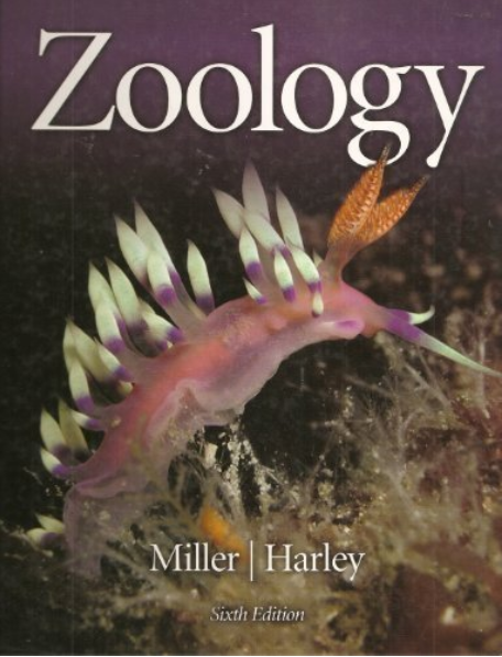 cover image of Zoology