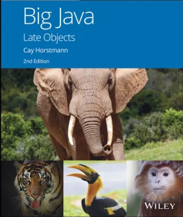 cover image of Big Java