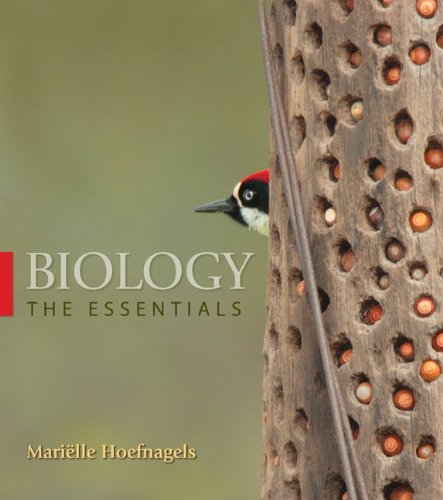 cover image of Biology: The Essentials