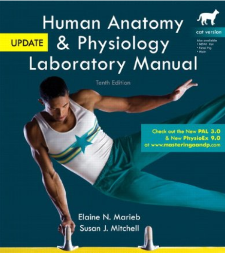 cover image of Human Anatomy & Physiology Laboratory Manual