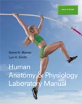 cover image of Human Anatomy & Physiology Laboratory Manual