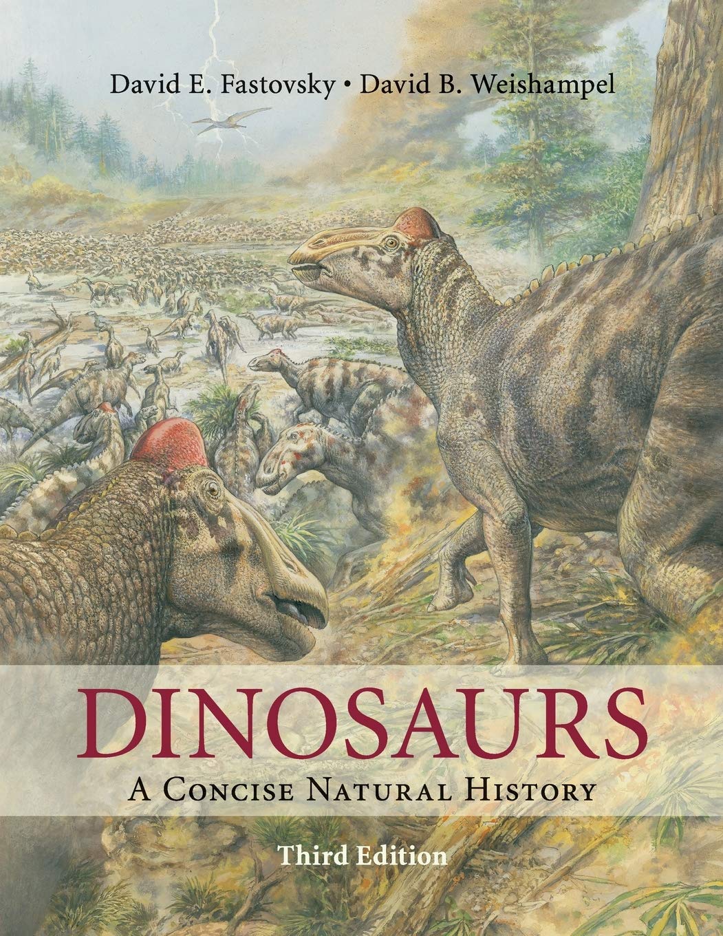 cover image of Dinosaurs: A Concise Natural History