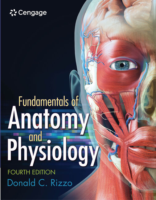 cover image of Fundamentals of Anatomy and Physiology