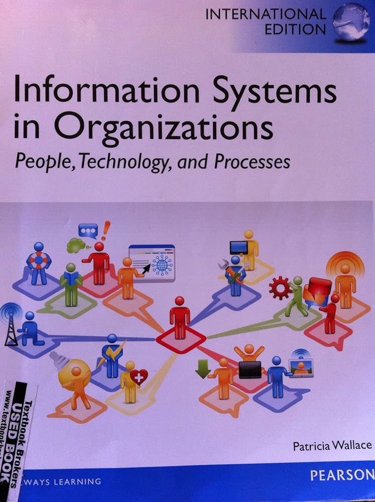 cover image of Information Systems in Organizations: People, Technology, and Processes