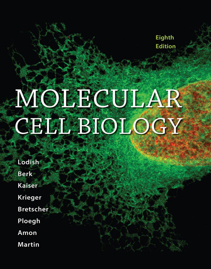 cover image of Molecular Cell Biology