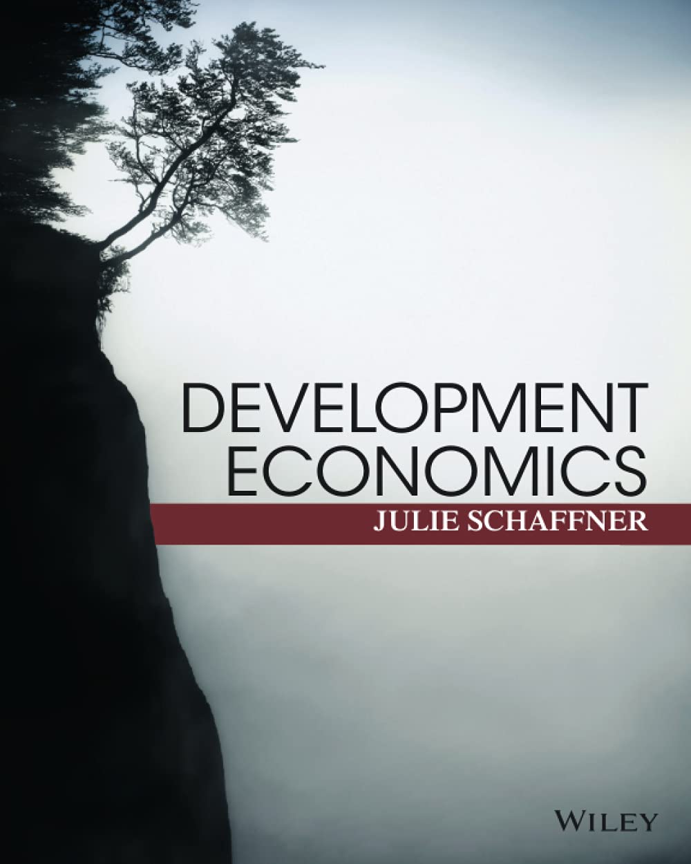 cover image of Development Economics: Theory, Empirical Research, and Policy Analysis